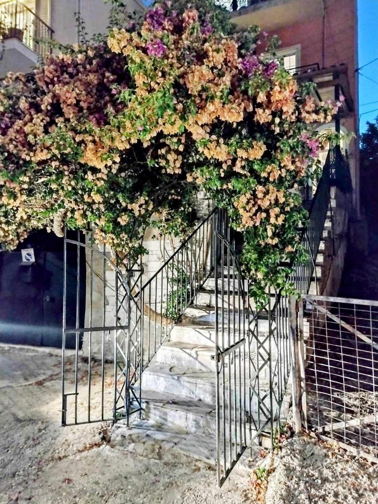 Corfu Pelekas Apartment 2 Luaran gambar